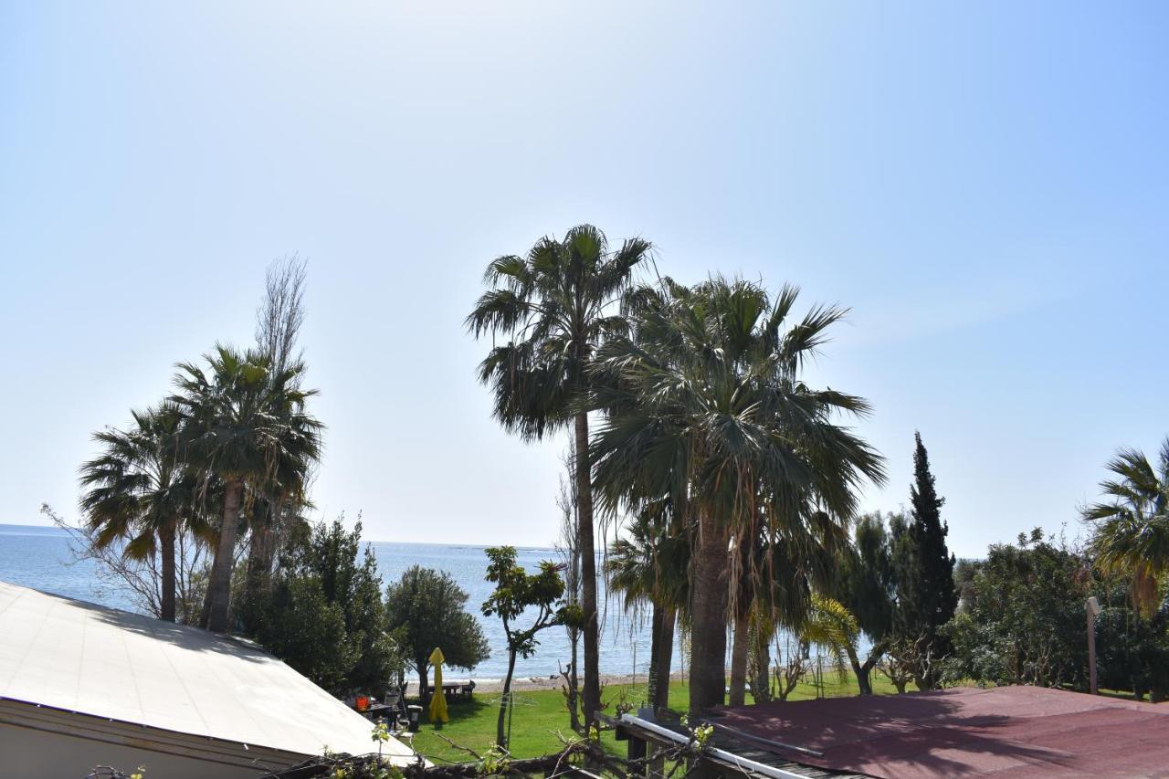 Andreas & Melanie Beach Hotel Governor's Beach Esterno foto